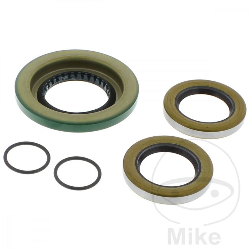 Kit Rodamiento Diferencial Trasero AllBalls | Motos Camaral