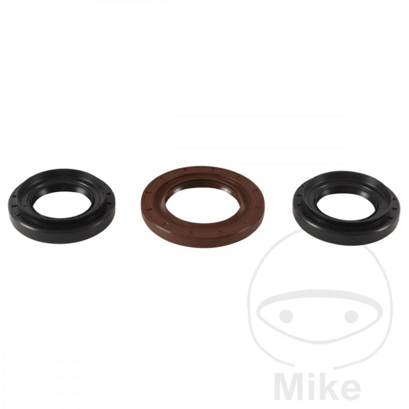 Kit Rodamiento Diferencial Trasero AllBalls | Motos Camaral