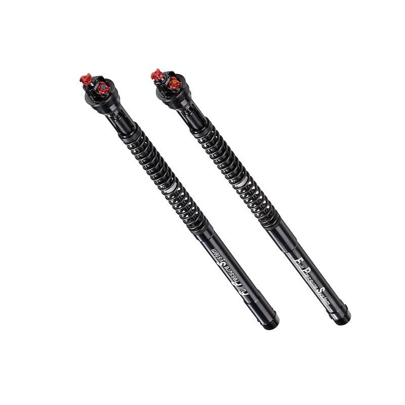 BITUBO fork cartridges for R6 YAMAHA 06-07- motoscamaralweb.com