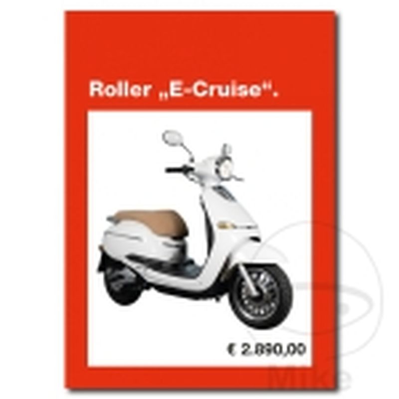 Flyer Scooter E-CRUISE Pack 20 uds | Motos Camaral