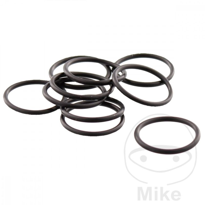 O-Rings de Reemplazo para 6110013 (10 uds) | Motos Camaral