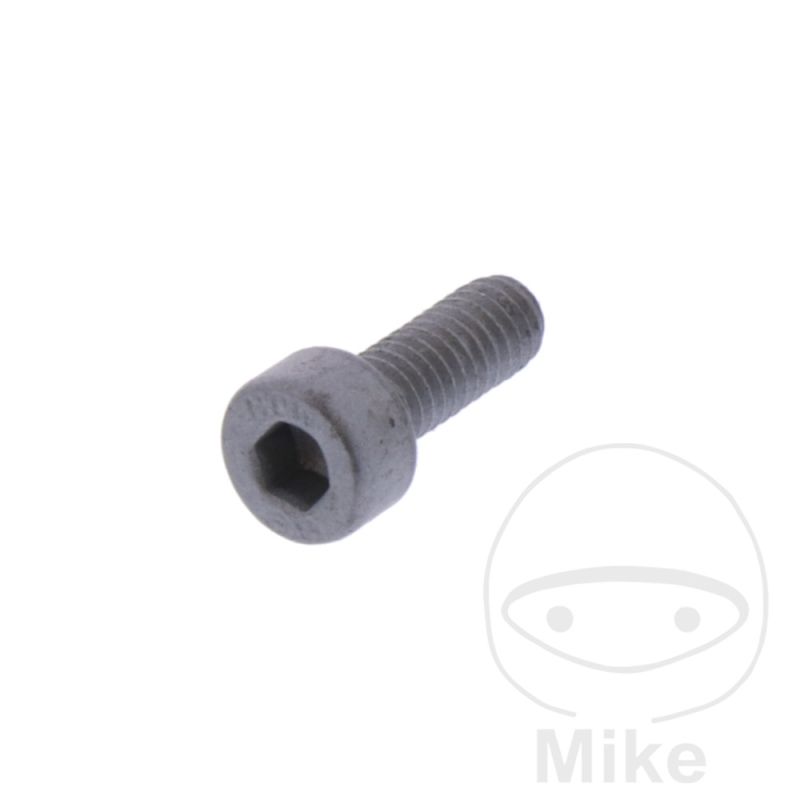 Tornillo de Piñón OEM | Recambio Original | Motos Camaral