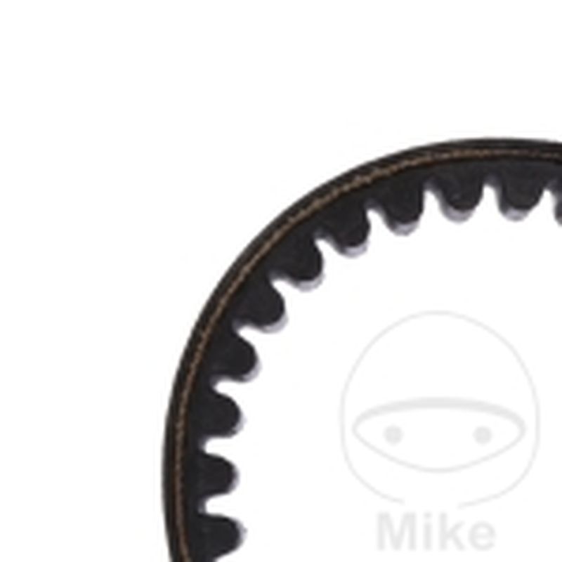 Correa de transmisión Mitsuboshi 22.9X884 | Motos Camaral