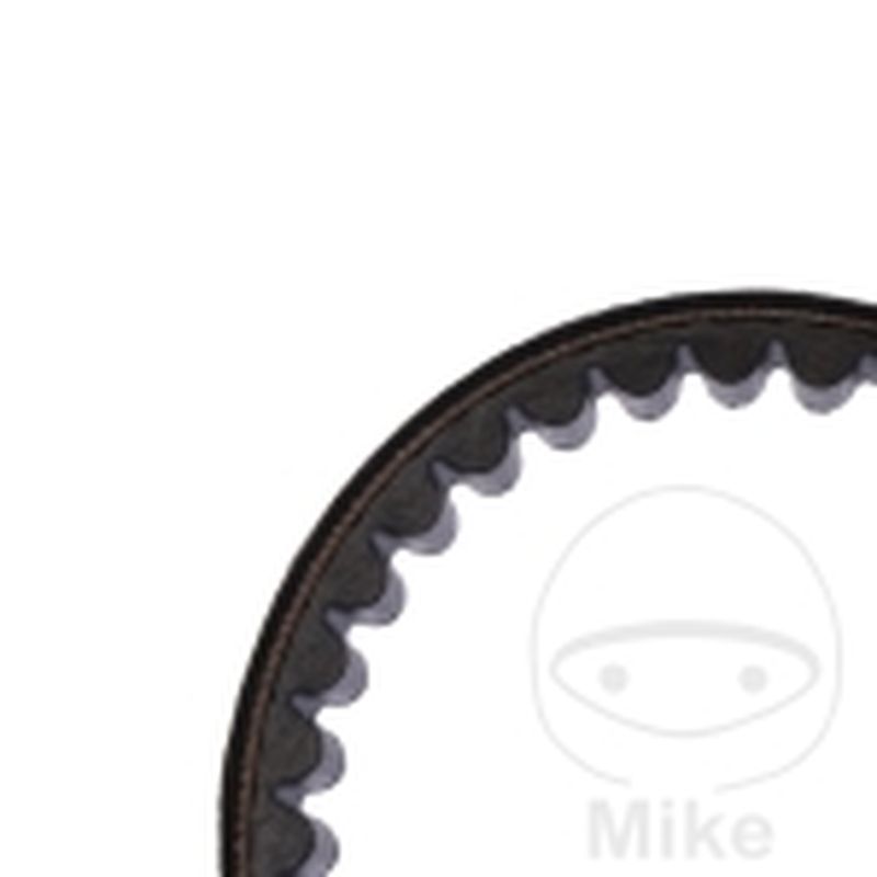 Correa de transmisión Mitsuboshi 22X848 | Motos Camaral