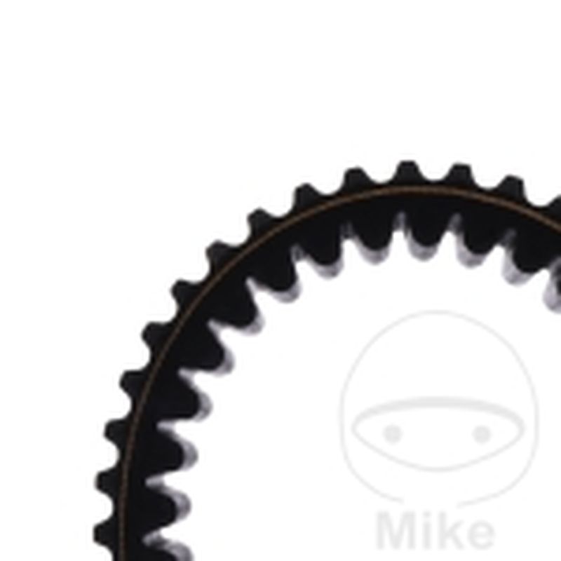 Correa de Transmisión Mitsuboshi 31X895 | Motos Camaral