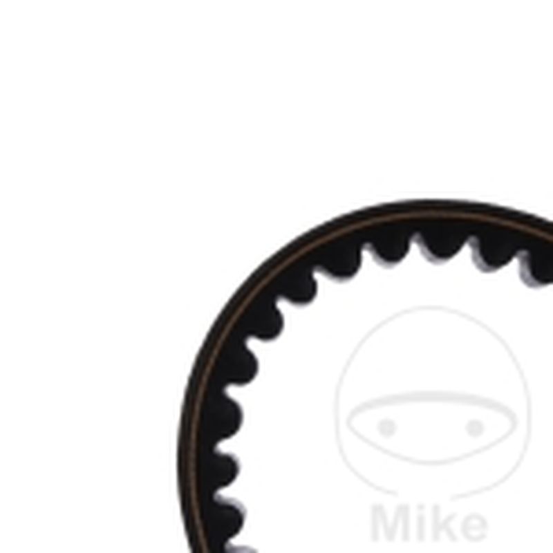 Correa de transmisión Mitsuboshi 18.3X816 | Motos Camaral