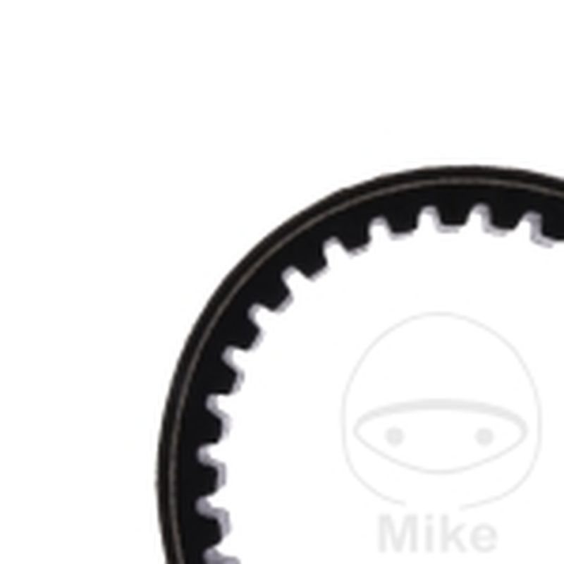 Correa de transmisión Mitsuboshi 24X953 | Motos Camaral