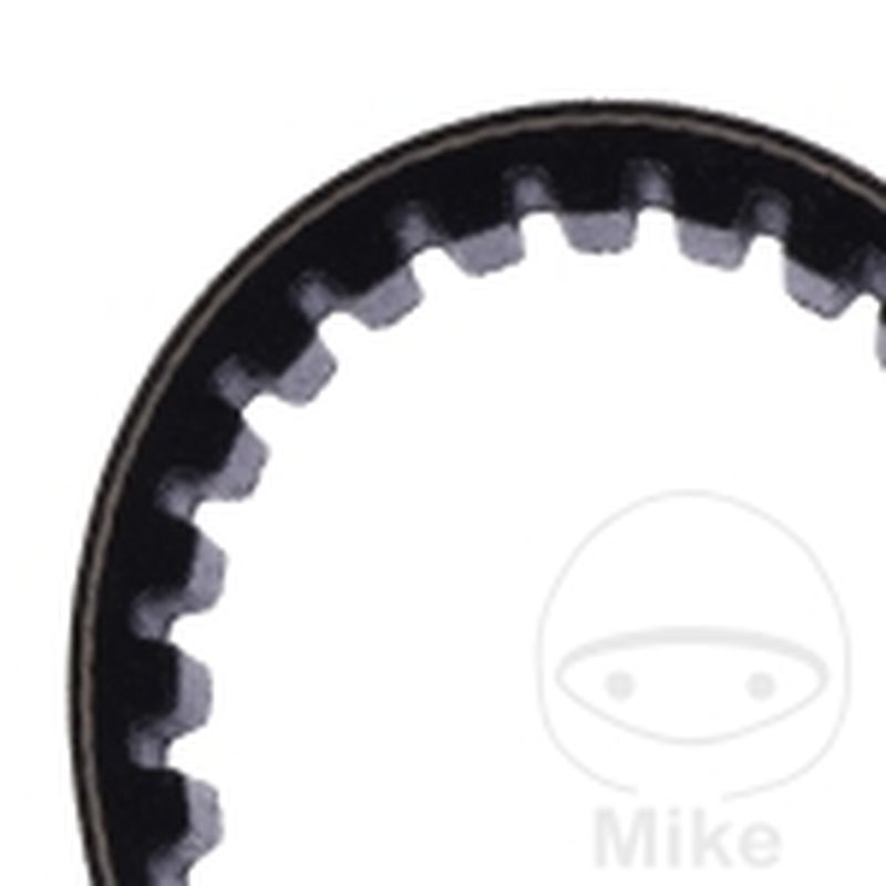 Correa de transmisión Mitsuboshi 18.3X772 | Motos Camaral