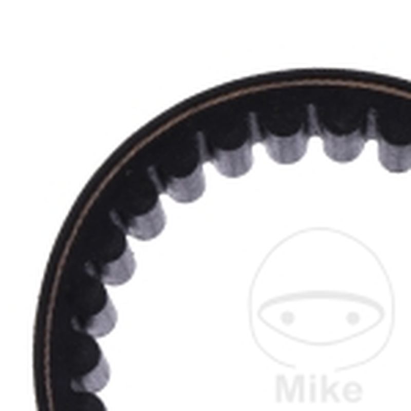 Correa de transmisión Mitsuboshi 22.2X893 | Motos Camaral