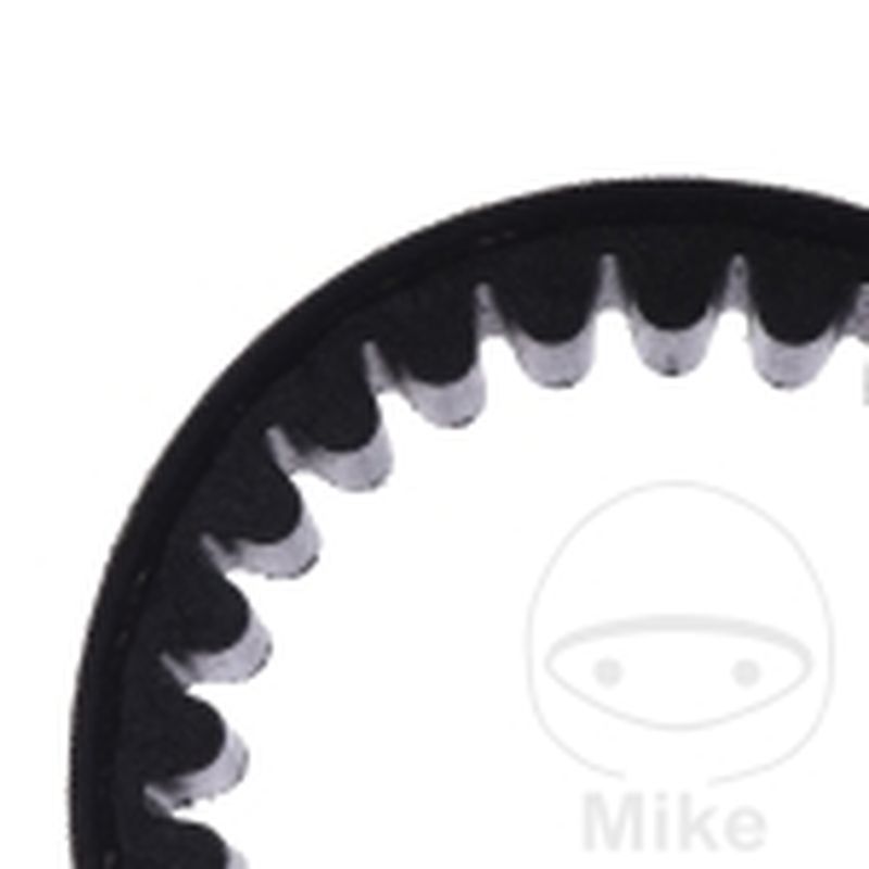 Correa de transmisión Mitsuboshi 24.5X870 | Motos Camaral