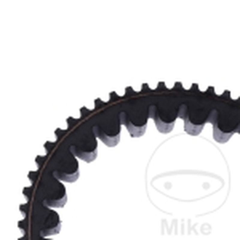 Correa de transmisión Mitsuboshi 23.8X923 | Motos Camaral