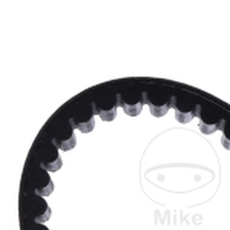 Correa de transmisión Mitsuboshi 22.2X838 | Motos Camaral