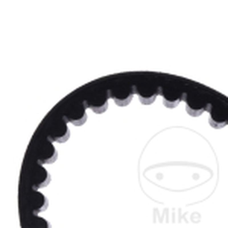 Correa de transmisión Mitsuboshi 19.5X873 | Motos Camaral
