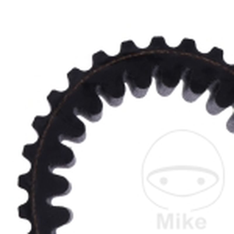 Correa de transmisión Mitsuboshi 31.7X913 | Motos Camaral