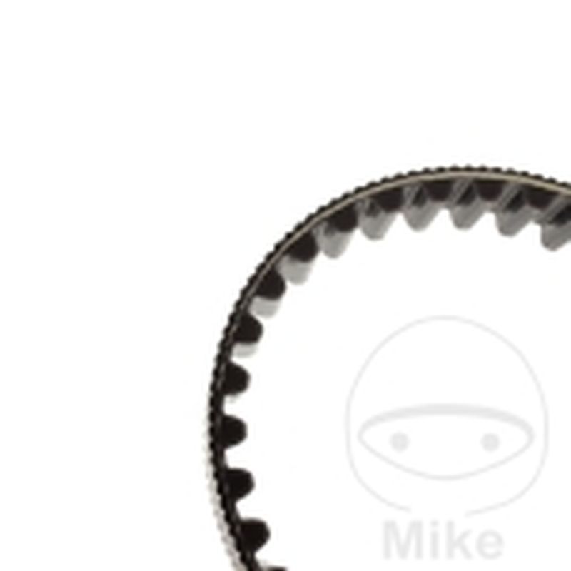 Correa Dentada OEM | Recambio Original | Motos Camaral