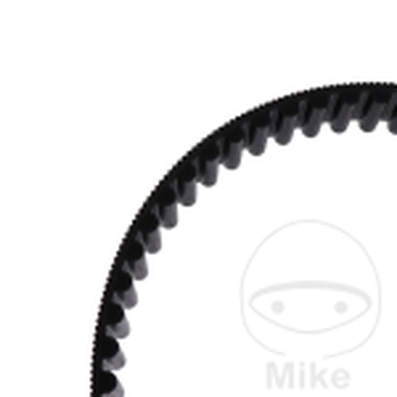 Correa Dentada 141Z OEM | Recambio Original | Motos Camaral