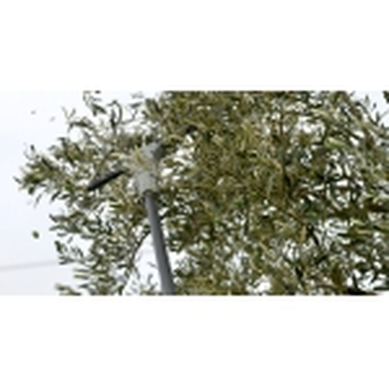 OV37-M SOLA - motoscamaralweb.com