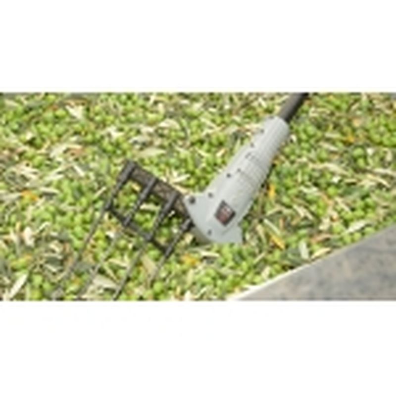 OV37-F SOLA - motoscamaralweb.com