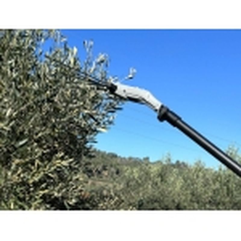 OV37 SLIM + 3 BAT. 5Ah - motoscamaralweb.com