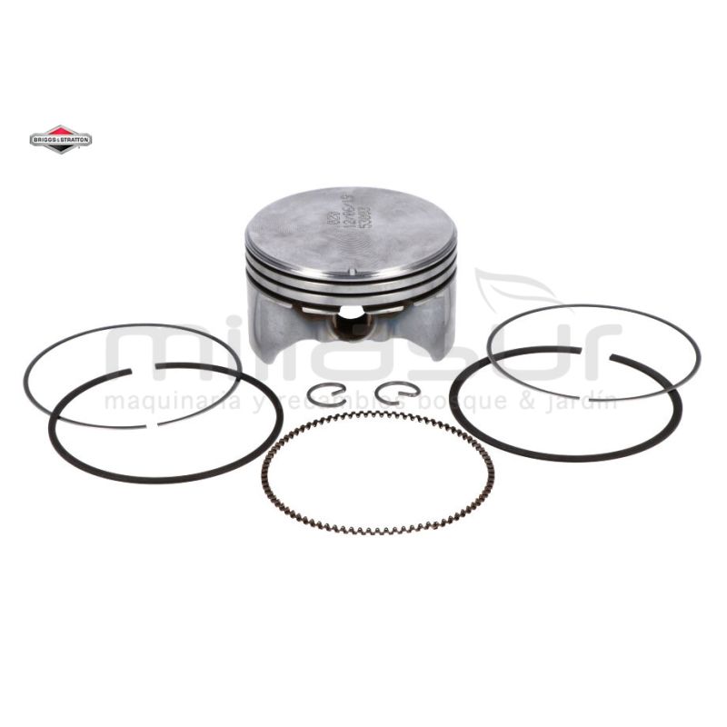 PISTON - motoscamaralweb.com