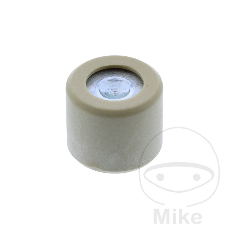 Rodillo Variador 25.1g 20x17mm OEM | Recambio Original | Motos Camaral