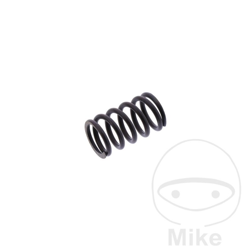 Muelle Pinza de Freno | Recambios Freno Delantero | Motos Camaral