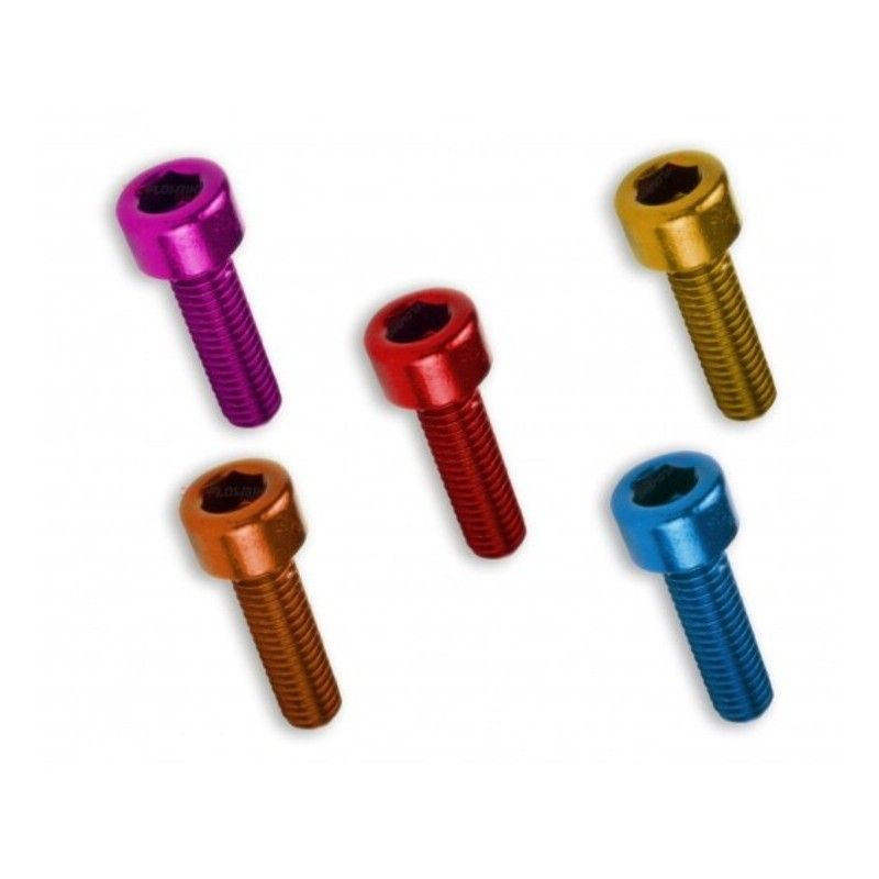 Kit 6 tornillos allen cabeza cilindrica M8x50 oro V PARTS - motoscamaralweb.com