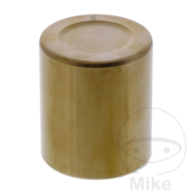 Pistón Pinza de Freno Tourmax | Recambios Moto | Motos Camaral