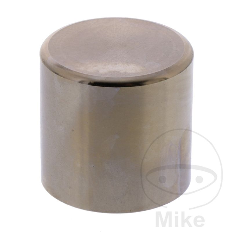 Pistón Pinza de Freno Tourmax | Recambios Moto | Motos Camaral