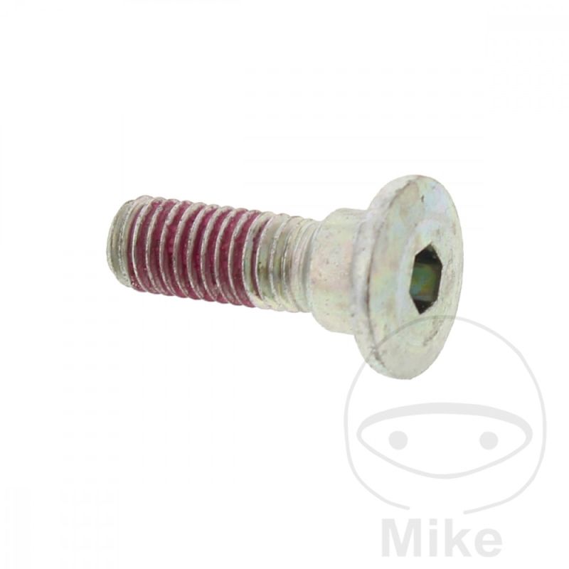 Tornillo Disco Freno OEM M8x1.25x25mm | Motos Camaral