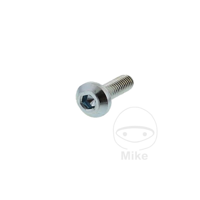 Tornillo Disco de Freno OEM M8x1.25x25mm | Motos Camaral
