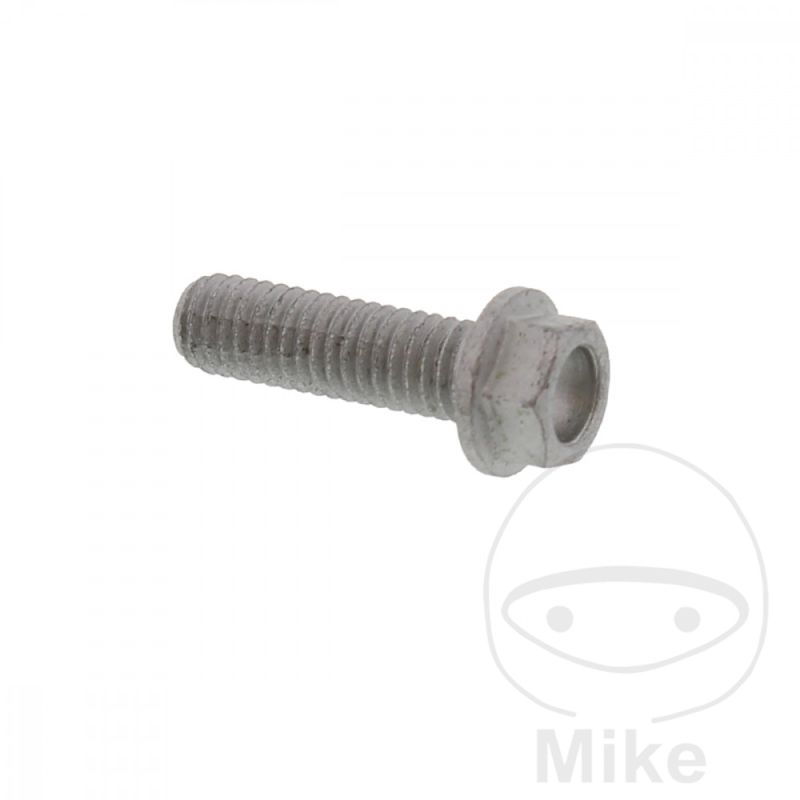 Tornillo Disco de Freno OEM M6X1X20MM | Motos Camaral