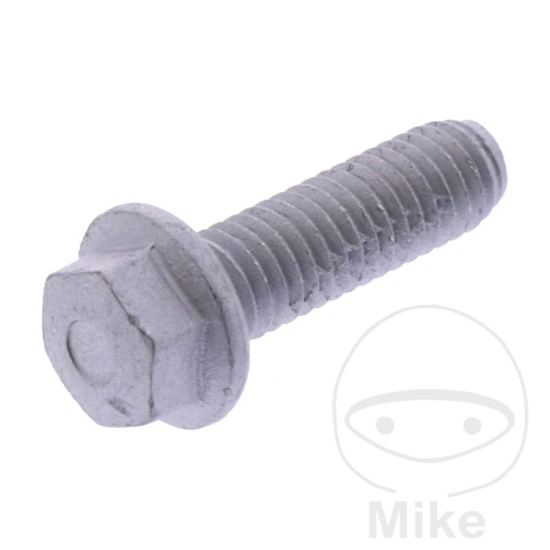 Tornillo Tapa de Válvula OEM | Recambio Original | Motos Camaral