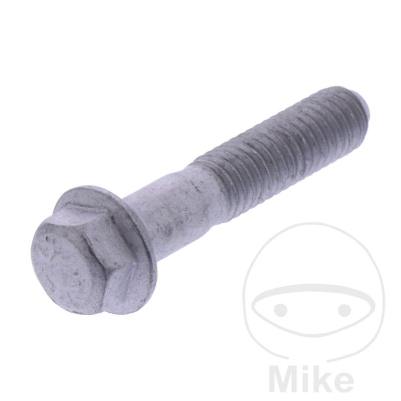 Tornillo Tapa de Válvula OEM | Recambio Original | Motos Camaral