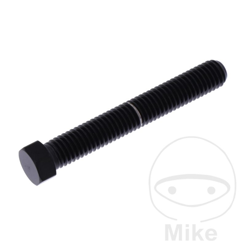 Tornillo de Ajuste de Eje M8x1.25 55mm Inox V4A Negro | Motos Camaral