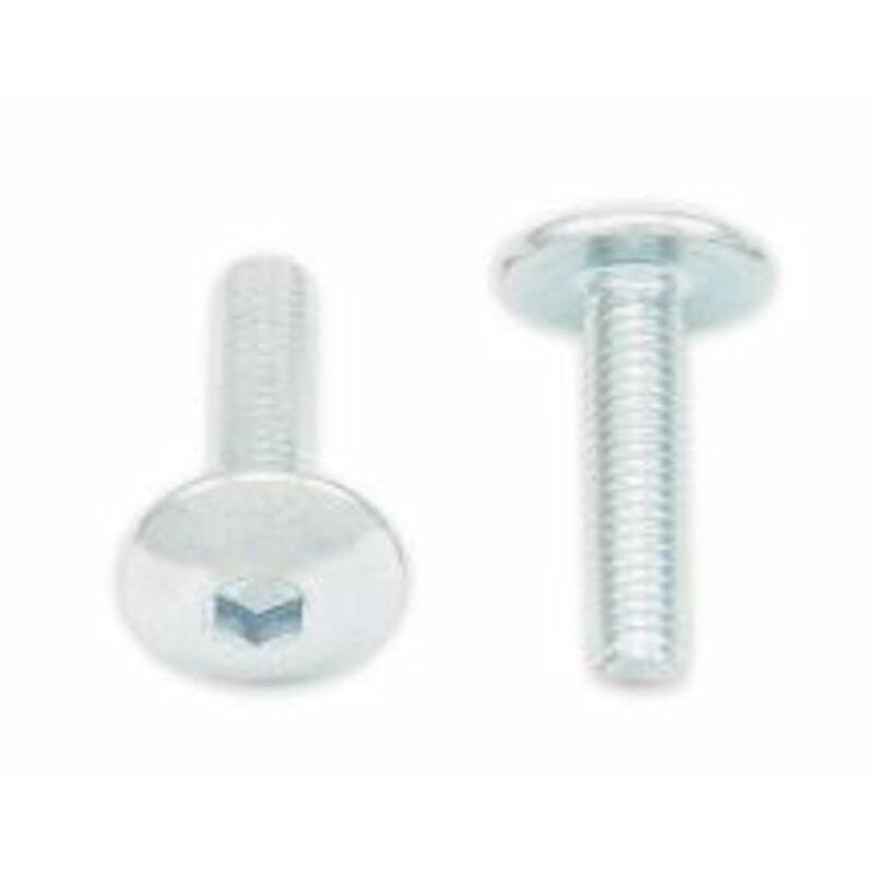 Tornillos cabeza redonda plana BOLT M5 x 0.80 x 20mm - motoscamaralweb.com