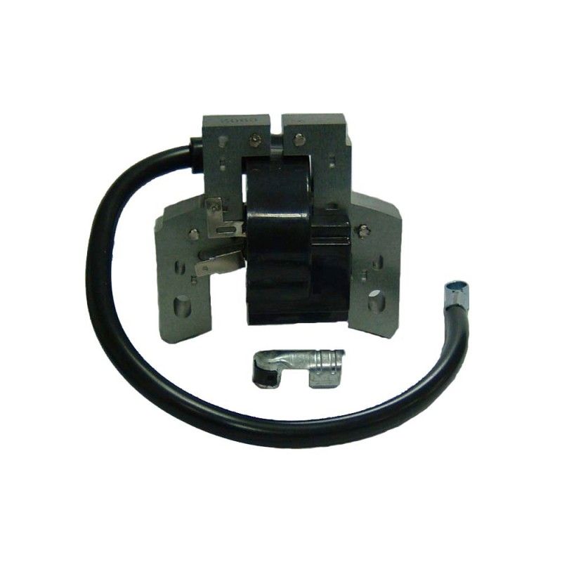 PIPA BUJIA AD BRIGGS- motoscamaralweb.com