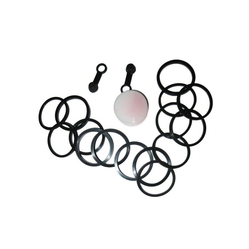 Kit de reparación pinza de freno delantera TECNIUM Yamaha - motoscamaralweb.com