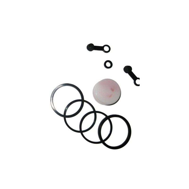 Kit de reparación pinza de freno trasera TECNIUM Suzuki GS-F - motoscamaralweb.com