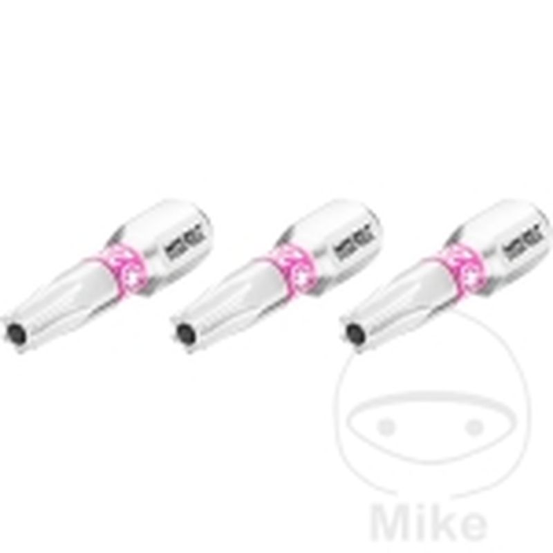Puntas Torx T25H 1/4" 25mm 3 uds | Motos Camaral