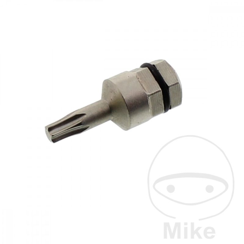 Punta Torx T15 5/16 8mm | Motos Camaral
