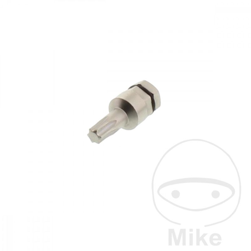 Punta Torx T25 5/16 8mm | Herramienta | Motos Camaral