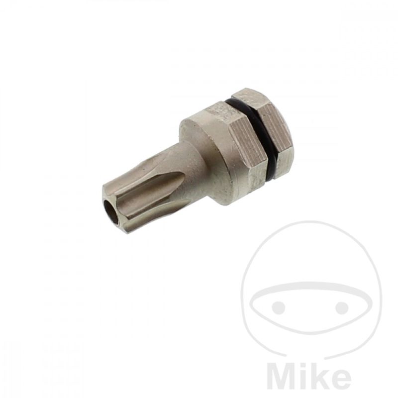 Punta Torx T30 5/16 8mm | Motos Camaral