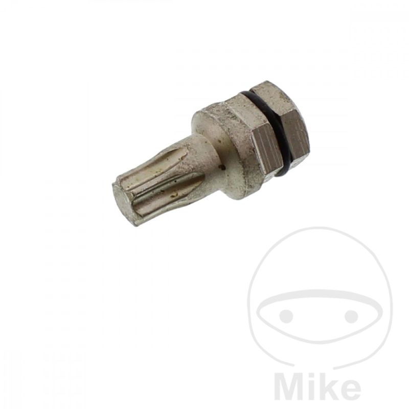 Punta Torx T40 5/16 8mm | Herramientas | Motos Camaral