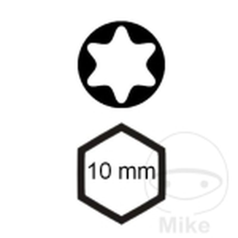 Punta Torx T40 10 mm 75 mm | Motos Camaral