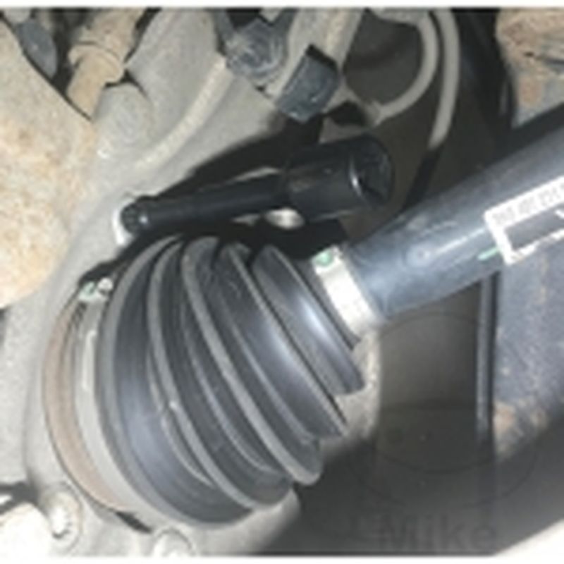 Juego Tornillos XZN M12 2 Pzas 75+112mm | DR EINS | Motos Camaral