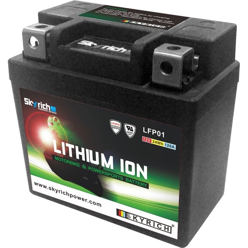 Batería de litio SKYRICH - LFP01 - motoscamaralweb.com