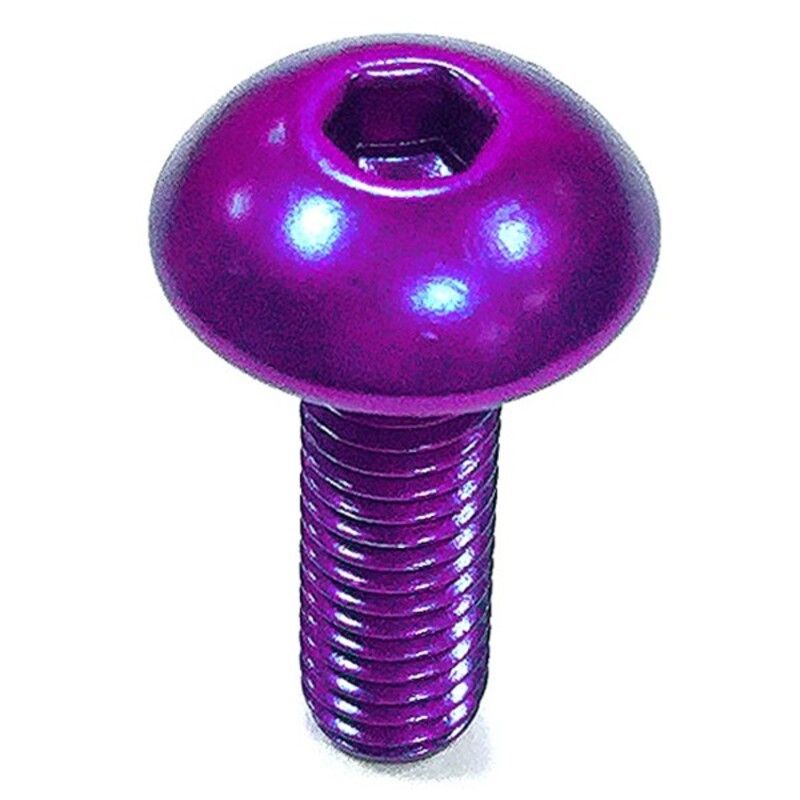 Tornillo de Aluminio Pro-bolt cabeza redondeada M5 x (0.8mm) x 16mm violeta LFB516P - motoscamaralweb.com