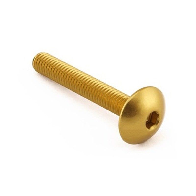 Tornillo Aluminio Pro-Bolt cabeza alomada M6 x (1.00mm) x 40mm LFB640G Oro - motoscamaralweb.com