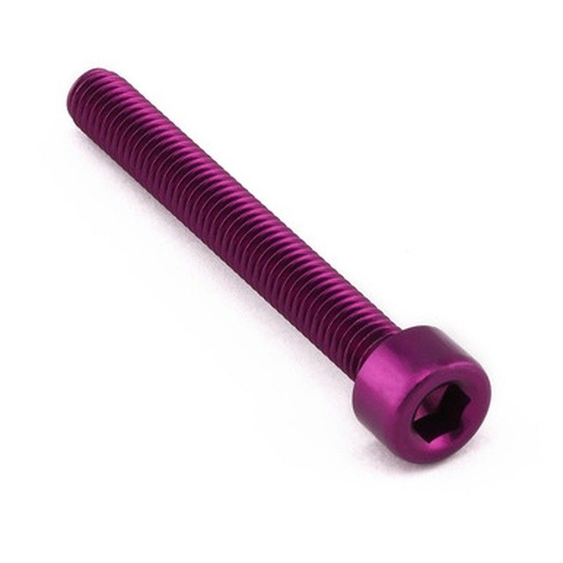 Tornillo Aluminio Pro-bolt cabeza cilíndrica M5 x (0.8mm) x 40mm LPB540P Violeta - motoscamaralweb.com